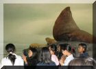 Museum 01.jpg